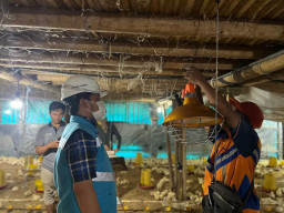 Pertanian Modern Berbasis Listrik Kian Berkembang, Program Electrifying Agriculture PLN Tumbuh 22,28 Persen