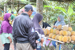 Kembangkan Kawasan Sentra Durian Khas Banyuwangi, PLN Dorong Potensi Ekonomi Baru
