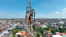 Jaga Suplai Listrik Surabaya - Sidoarjo Tetap Aman, PLN Bersihkan 1.188 Keping Isolator Pada Jaringan SUTT 150 kV