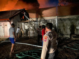 Gudang Pakan Ternak dan Pembuatan Eggtre Terbakar