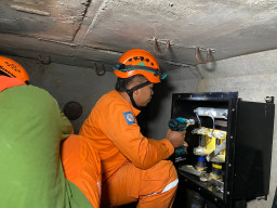 Pastikan Keandalan Supply Listrik Bandara Internasional Ngurah Rai dan Pelanggan VIP, PLN UIT JBM Rutin Lakukan Pemeliharaan jalur SKTT