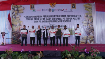 Bank Jatim Kucurkan Kredit Untuk Gapoktan Tebu Tulungagung