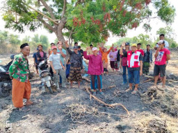 PT Sier Pengembang Pier Rembang Caplok Lahan Petani, Warga: Rusak Berantakan, Rata Dengan Tanah