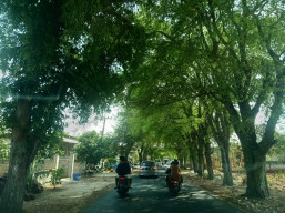 Beralih Menjadi Jalan Provinsi, BBJN Langsung Perbaiki  Ruas Petiyin - Banjarwati