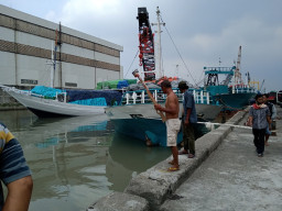 Pelabuhan Kalimas Sepi, Pekerja Pilih Berburu Ikan Cucut