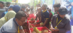 Manjakan Warga Lamongan, Wisata di Laren ini Sediakan 5 Ribu Durian