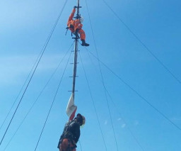 Bikin Heboh, Ular Lilit Tower Pemancar Sinyal di Surabaya