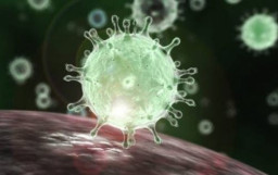 Update Kasus Covid-19 di Gresik: 4 Orang Positif dan 2 Orang Meninggal