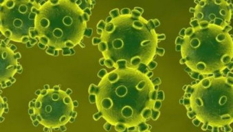 Warga Gresik Terpapar Covid-19 Tembus 605 Orang