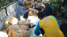 Kurangi Sampah Plastik, Sanggar Hijau di Jombang Bagikan Besek