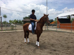 GBPH Yudhaningrat Kunjungi Yussar Stable and Riding