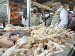 Satgas Pangan Sidak Pasar Wonokromo, Harga Sembako Normal