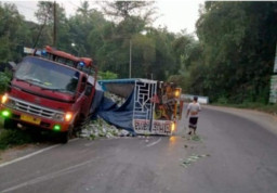 Lebihi Tonase, Truk Pengangkut Tebu Terguling di Blitar