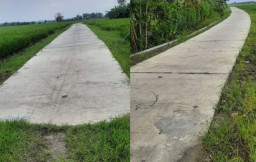 Proyek Siluman Jalan Usaha Tani, Disperta Jombang Akui Ada Kesalahan