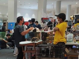 Ada Kebun Binatang Dalam Mall