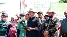 Lamongan Kenalkan Pembasmian Hama Blas Melalui Udara Manfaatkan Drone