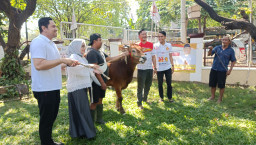 Konsisten Hadir Di Masyarakat, DPC Partai Gerindra Bagikan Ratusan Paket Daging Kurban