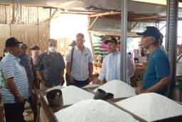 Gagal Panen Buntut Kemarau Panjang, Harga Beras di Sumenep Meroket