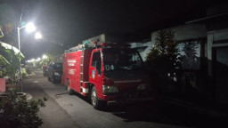 Balita di Jombang Meninggal Disengat Tawon Vespa, Dua Masih Dirawat