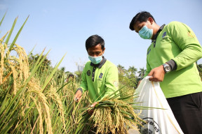 Pemkot Surabaya Berdayakan Nelayan Menjadi Petani