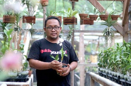 ASN yang Eksis di Bidang Agribisnis Beromzet Ratusan Juta