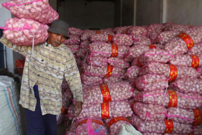 Impor Bawang Putih Lampaui Kuota, Mendag: Kesalahan RIPH Dari Kementan