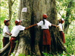 KPH Padangan Bojonegoro Bakal Ada 3 Tempat Wisata
