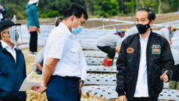 Jokowi Diminta Ambil Alih Peran Luhut