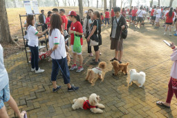 Event Fun Pawrade Dogs Walk Jadi Ajang Silaturahmi