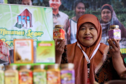Bisnis Minuman Tradisional yang Tembus Pasar Internasional