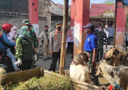 Hewan Kurban Sepi Pembeli Saat PPKM Darurat