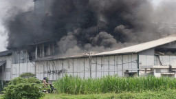 Pabrik Tepung Mojokerto di Lalap Si Jago Merah