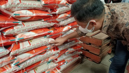 Bulog Pastikan Akan Tarik Beras yang Berkutu