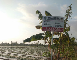 Oknum Kades Yosowilangun Kidul Diduga Sewakan Tanah Milik Pemda