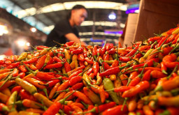 Harga Cabai Masih Pedas di Awal Tahun 2024, Zulhas: Tidak Perlu Khawatir