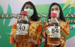 Konsumsi Sawit Domestik Meroket 10,2 Persen Berkat Biodiesel
