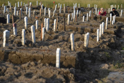 Satgas Jatim: 30 Persen Kematian Pasien Covid-19 Isoman di Luar RS