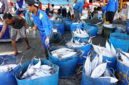 PIT Berbasis Kuota Ditunda, KKP: Infrastrukturnya Harus Disiapkan