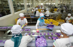 GP Jamu Optimis, Penjualan di Industri Jamu Ditargetkan Naik 5% Tahun Depan