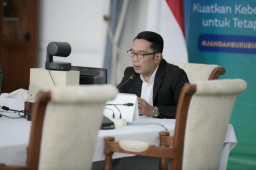 Petani Milenial, Gubernur Ridwan Kamil Luncurkan Petani Milenial Lebah Madu