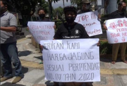 Harga Anjlok, Peternak Bagikan Telur Secara Gratis