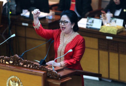 Ancaman Serius, Puan Minta Pemerintah Selamatkan Krisis