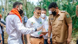 Raffi Ahmad, Hindari Menantu Jokowi