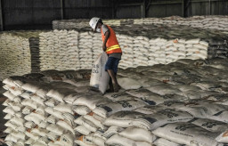 Mantan Menteri Susi Minta Bulog Fight Tolak Impor Beras