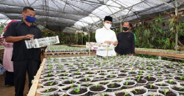 Dari Usaha Travel, Kini Eksis Budidayakan Anggrek