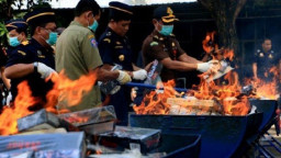 Kerugian Rokok Ilegal Capai Rp 4,38 Triliun