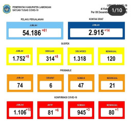 Saat Pencoblosan, 6 Warga Lamongan Terpapar Covid-19