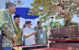 Seni Bonsai, Sektor Ekraf Unggulan yang Siap Sasar Pasar Ekspor