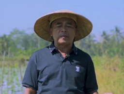 Guru SD yang Sukses Bertani Cabai