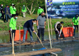 Lahan Perairan Sempit, Wali Kota Eri Bisa Panen 1,25 Ton Ikan Bandeng